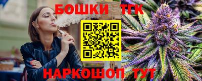 индика Пенза