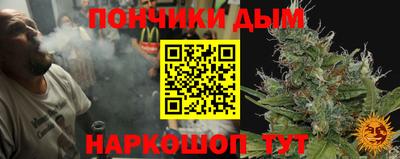 индика Пенза