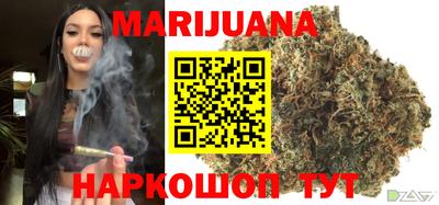 индика Пенза