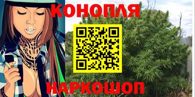 индика Пенза