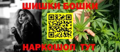 индика Пенза